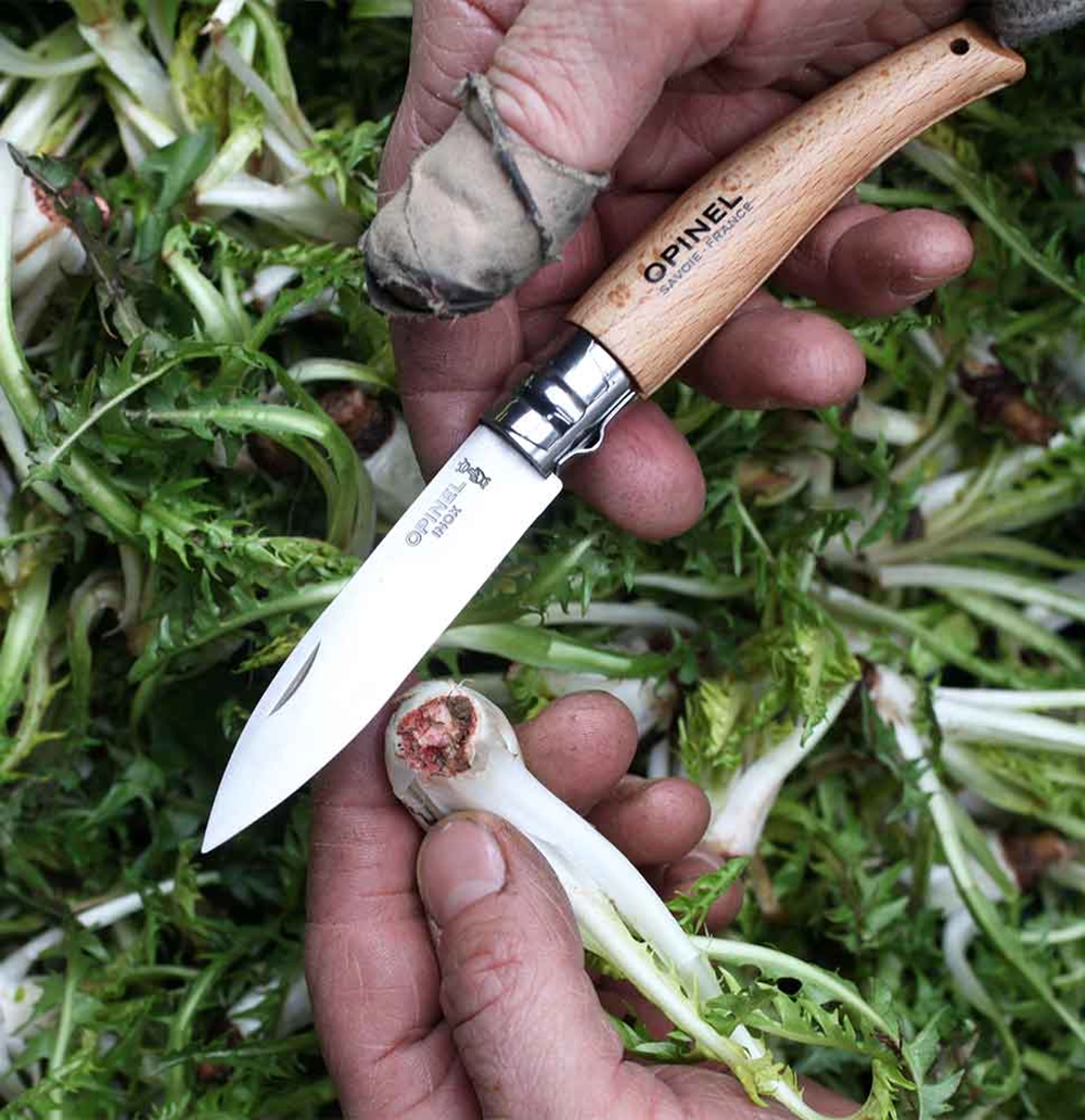 Opinel - Coltello N° 8 - inox a punta