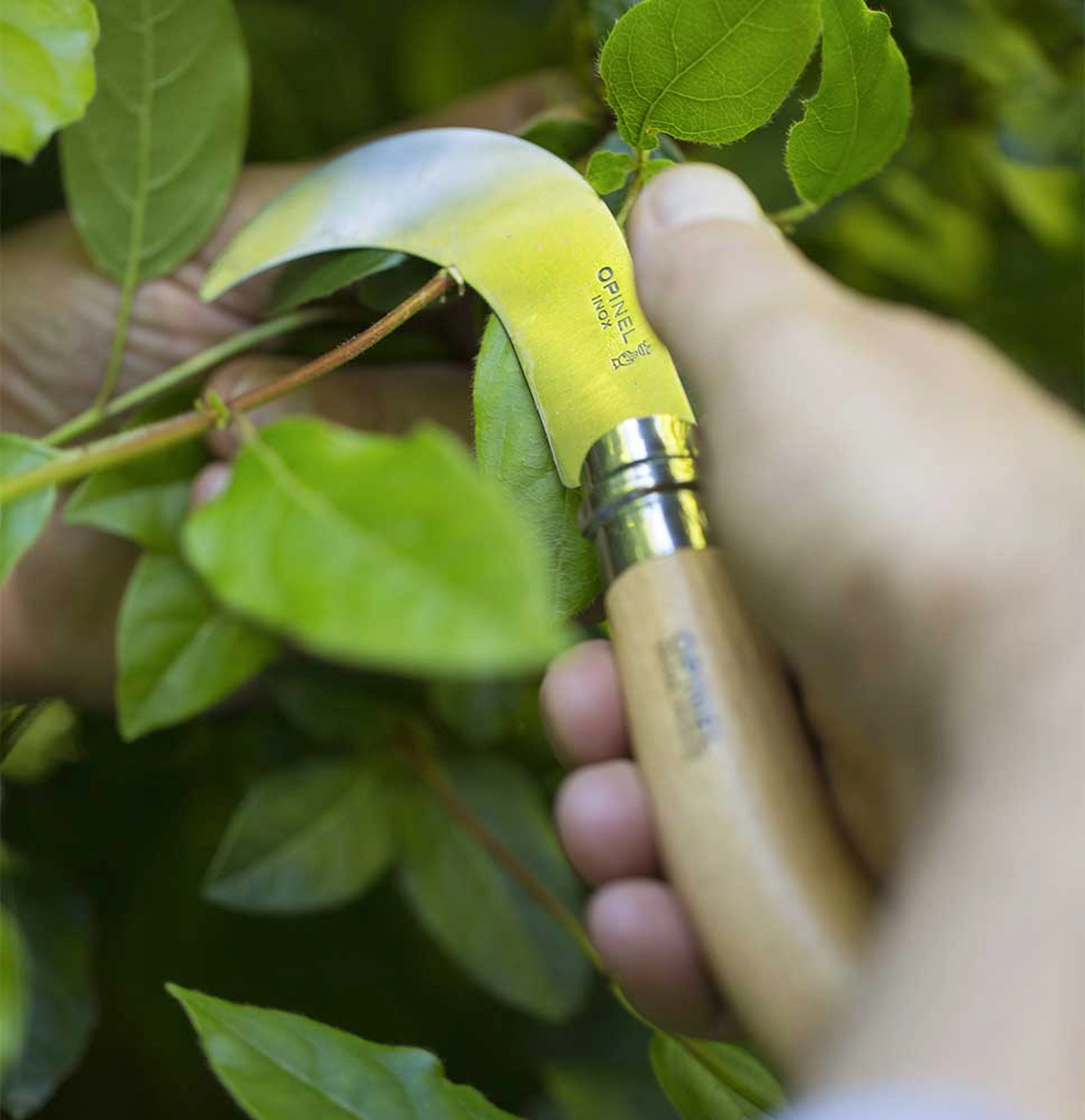 Opinel - Coltello N° 10 - Roncola